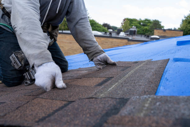 Best Gutter Installation and Roofing  in Belpre, OH
