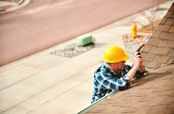 Best Roof Gutter Cleaning  in Belpre, OH