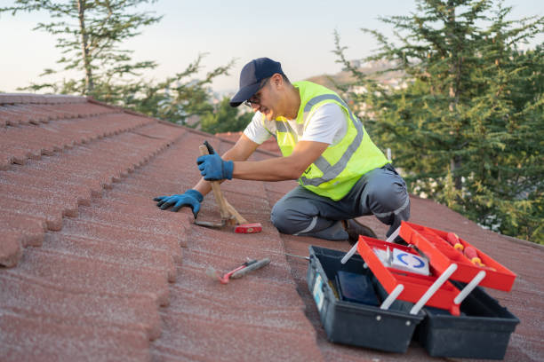 Best Roof Maintenance Services  in Belpre, OH