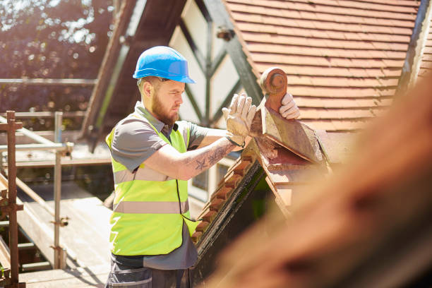 Roof Gutter Cleaning in Belpre, OH