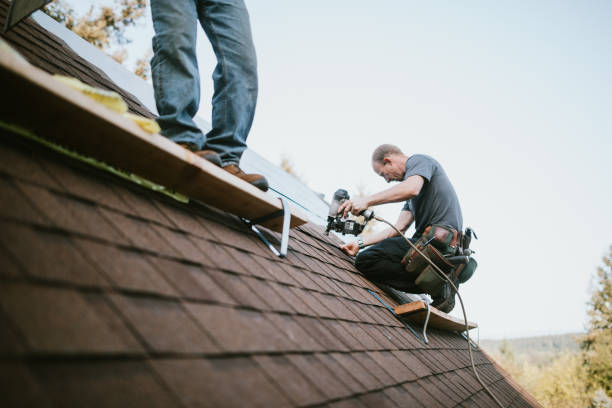 Best Roof Replacement Cost  in Belpre, OH